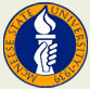 McNeese State University Logo